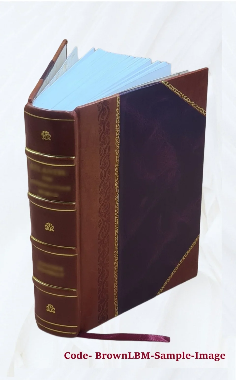 Ultimate Popular Commentarii in primam digesti veteris partem ([Reprod. en fac-sim.]) / Albericus de Rosate 1585 [Leather Bound]